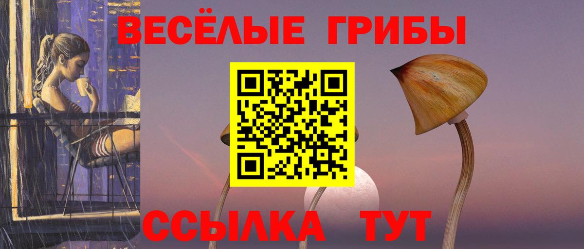 Майский  Псилоцибиновые грибы GOLDEN TEACHER  Вход с VPN  Галлюциногенные грибы Magic Shrooms 